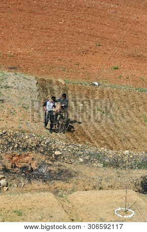 North Korea - May 5, 2019: Countryside Scene. Two Peasants Men Plowing An Agriculture Field With Ox