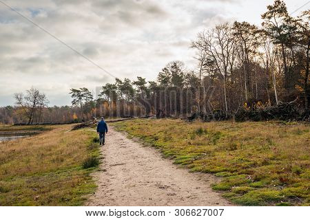 Unidentified Man Is Walking Along A Sandy Path Along A Lake. A Fallen Pine Tree Is In Front Of Him. 