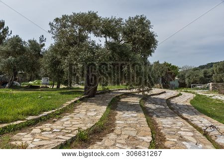 Ruins At Archaeological Area Of Aliki, Thassos Island,  East Macedonia And Thrace, Greece