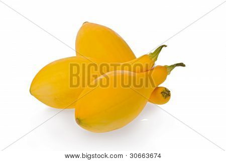 สควอชเหลือง (cucurbita Pepo)