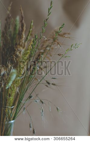 Bouquet Of Wild Herbs And Flowers. Free Area In The Lower Right Corner. Soft Focus. Dark Green Brown