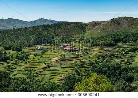 Viewpoint Of The Terraces (miradouro Dos Socalcos), Overlooking The Agricultural Terraces (famous Ti