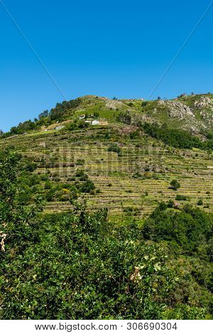 Viewpoint Of The Terraces (miradouro Dos Socalcos), Overlooking The Agricultural Terraces (famous Ti