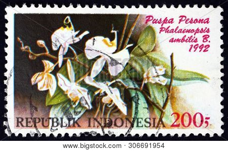 Indonesia - Circa 1992: A Stamp Printed In Indonesia Shows Moon Orchid, Phalaenopsis Amabilis, Is A 