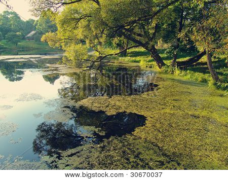 Lago prolungata Slime