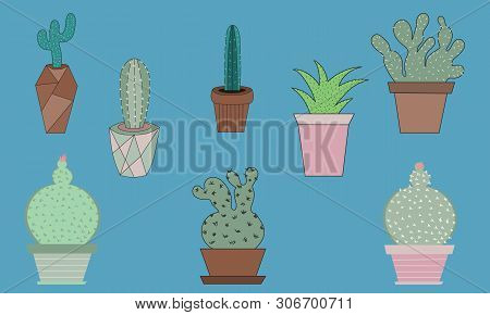 Set Of Colored Cactuses In Pots Isolated On A Blue Background