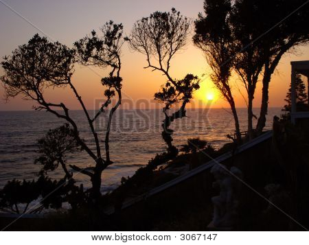 Laguna
