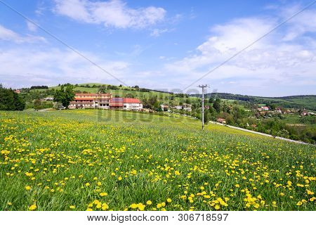 Beautiful Summer Landscape With Blooming Yellow Dandelions Around Zitkova Village, White Carpathians