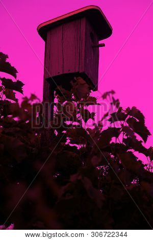 Wooden Birdhouse On The Background Of Pink Sky