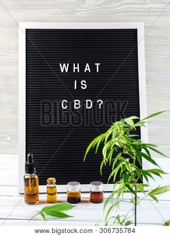 Letter Board With What Is Cbd? Question With Cannabis Leaf And Cbd Oils On White Background