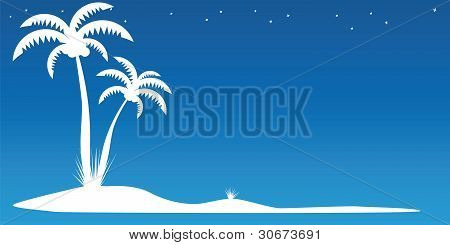 Palm Island