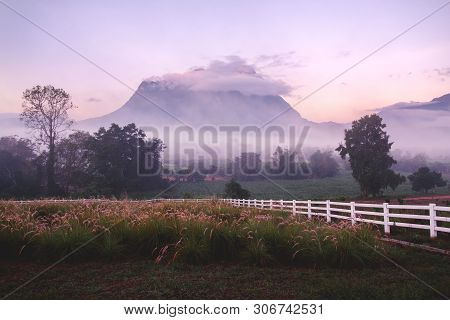 Summer Mountain Hills Landscape Sunset In North Of Thailand