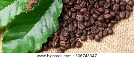 Roasted Coffee Bean On Linin Sack