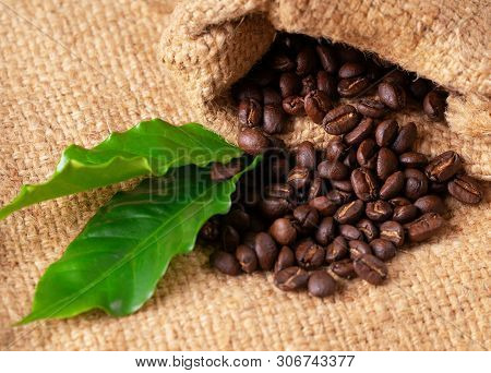 Roasted Coffee Bean On Linin Sack