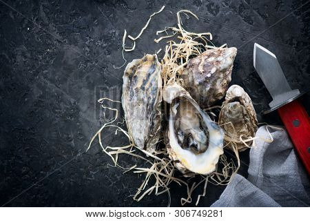 Fresh Oysters close-up with knife, served table with oysters and lemon. Healthy sea food. Oyster dinner in restaurant. Dark background. Seafood, Gourmet food. Flatlay, top view