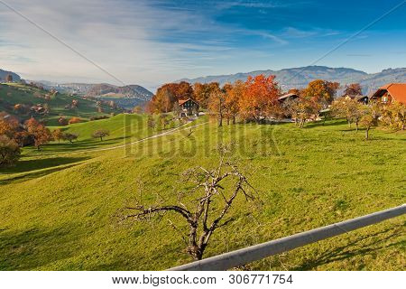 Amazing Autumn Panorama In Switzerland Apls Near Town Of Interlaken, Canton Of Bern