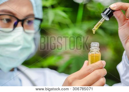 Portrait Of Scientist With Mask, Glasses And Gloves Researching And Examining Hemp Oil In A Greenhou