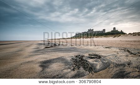 Tha Ancient Fortress Of Bamburgh Castle Standing Above The Sand Dunes Behind Bamburgh Beach In North
