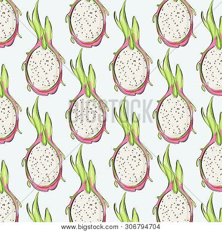 Pitaya Repetiotion Pattern. Vector Tropical Dragon  Fruit Sketch Drawing. Sweet Vegerarian Succulent