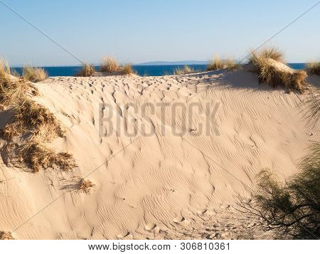 Dune With Beachgrass In Tarifa, Costa De La Luz, Spain, Europe