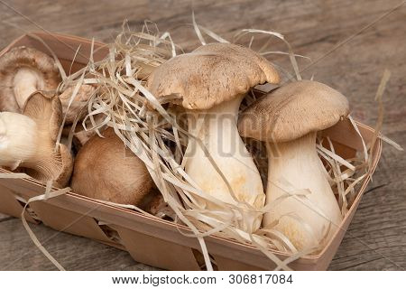 King oyster mushrooms on wooden background. Pleurotus eryngii