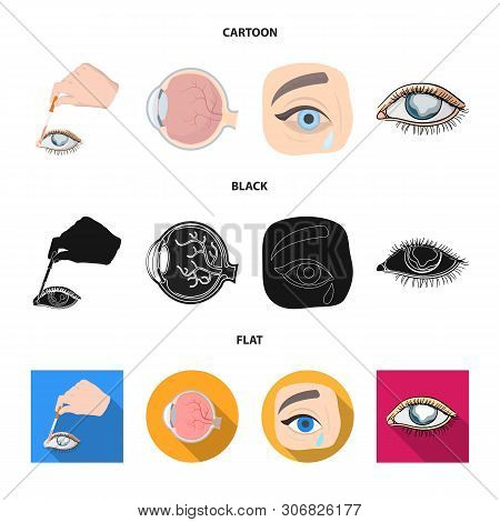 Vector Design Of Medical And Eyeball Icon. Collection Of Medical And Optical Vector Icon For Stock.