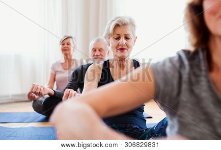 Group Of Senior People Doing Yoga Exercise In Community Center Club.