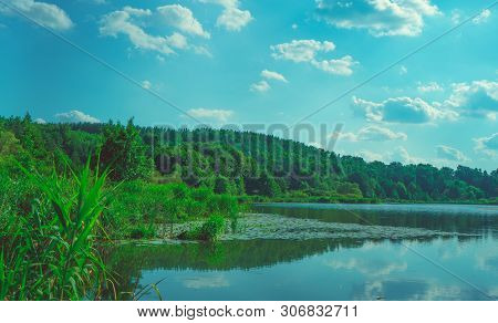 Large Lake On A Sunny Day Against The Background Of A Dense Green Forest, Nature In Russia
