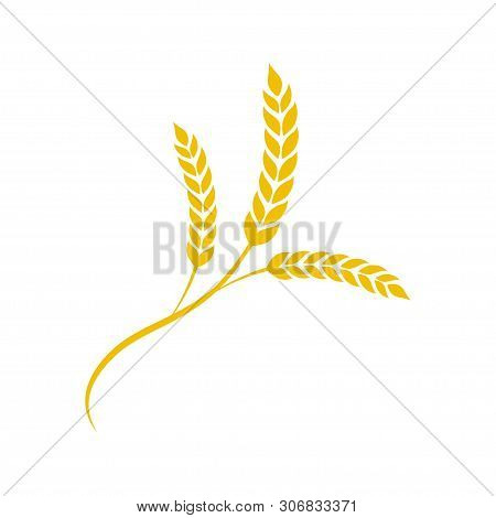 Wheat Spike In Flat Style. Agriculture Wheat