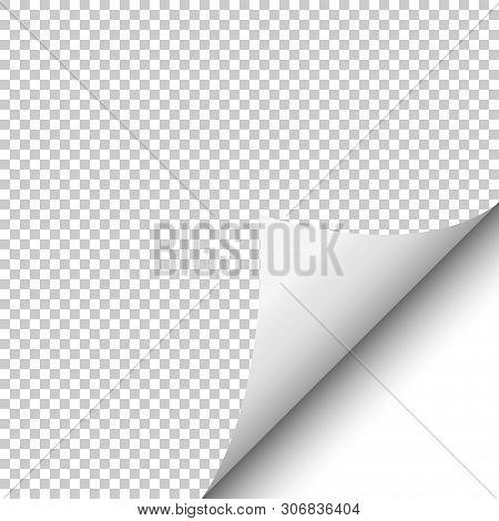 Realistic Curled Corner And Shadow On Transparent Background
