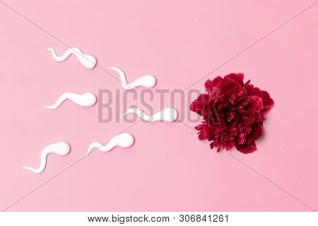 In Vitro Fertilization. Medical Concept Of Artificial Insemination. Red Peony Flower With Plastic Sp