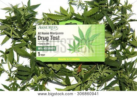 6/13/2019 Lake Forest California: At Home Marijuana Drug Test package laying on top of Marijuana Leaves on a white background. Editorial Use Only. 