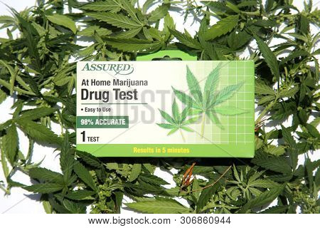 6/13/2019 Lake Forest California: At Home Marijuana Drug Test package laying on top of Marijuana Leaves on a white background. Editorial Use Only. 