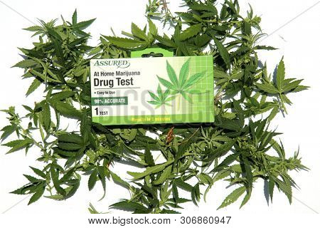 6/13/2019 Lake Forest California: At Home Marijuana Drug Test package laying on top of Marijuana Leaves on a white background. Editorial Use Only. 
