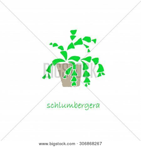 Shlumbergera Plant In Pot Icon Set Flat Design Object Isolated Stock Vector Illustration For Web, Fo