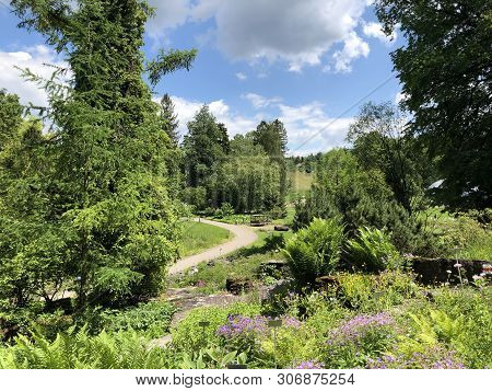 Botanical Garden Zurich Or Botanischer Garten Zuerich, Switzerland