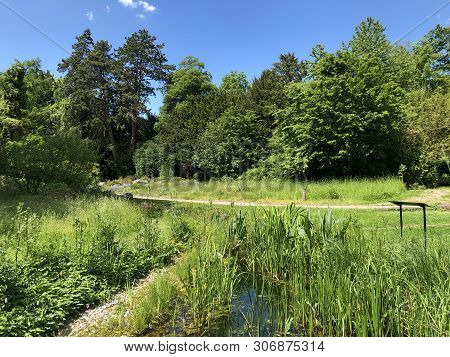 Botanical Garden Zurich Or Botanischer Garten Zuerich, Switzerland
