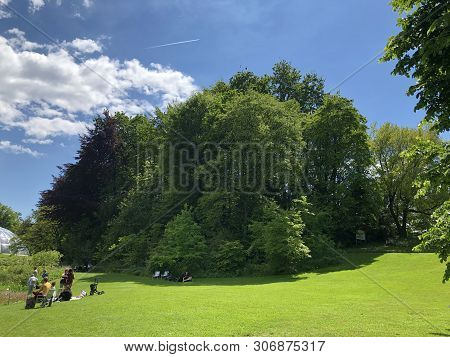 Botanical Garden Zurich Or Botanischer Garten Zuerich, Switzerland