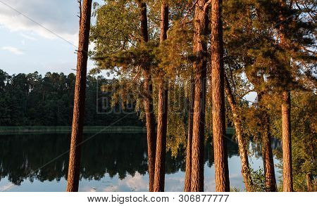 Pines On The Lake At Sunset. Beautiful View Of The Biale Lake, Poland In Hot Summer