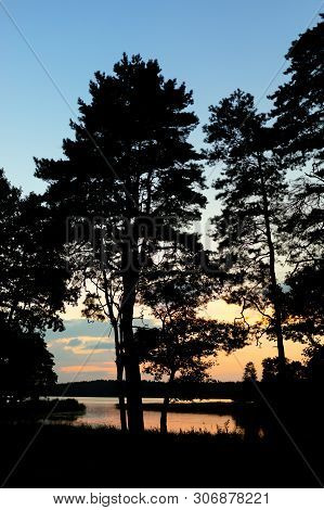 Pines On The Lake At Sunset. Beautiful View Of The Biale Lake, Poland In Hot Summer