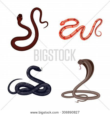 Vector Design Of Poison And Evil Icon. Collection Of Poison And Bite Stock Symbol For Web.