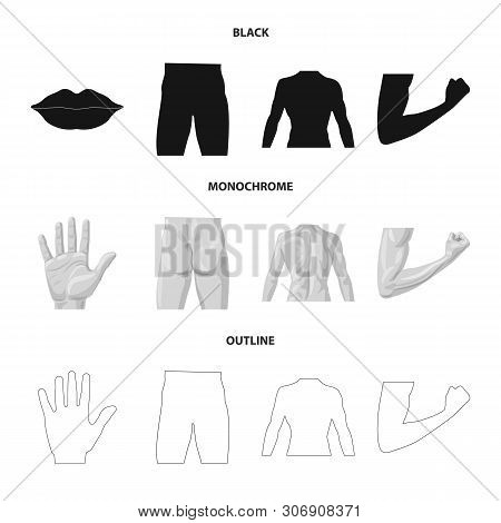 Vector Illustration Of Human And Part Sign. Collection Of Human And Woman Stock Symbol For Web.