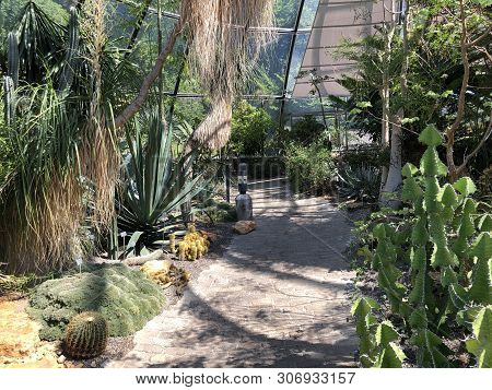 Tropenhaus, Trockengebiete - Botanical Garden Zurich Or Botanischer Garten Zuerich, Switzerland