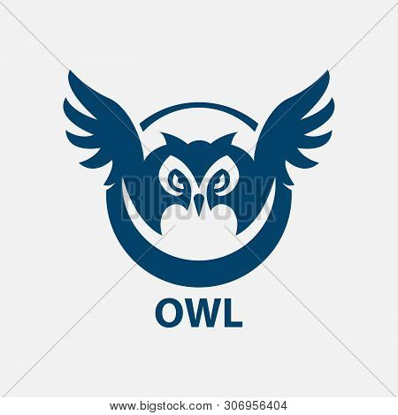 Owl Icon Isolated On White Background. Owl Icon In Trendy Design Style. Owl Vector Icon Modern And S