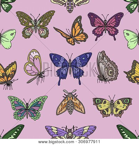 Butterfly Vector Colorful Insect Flying For Decoration And Beautiful Butterflies Wings Fly Illustrat