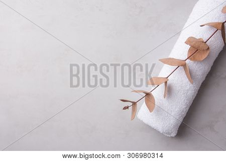 Rolled Clean White Fluffy Terry Towel Eucalyptus Branch On Pastel Gray Stone Background. Minimalist 