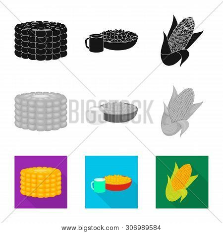 Vector Illustration Of Cornfield And Vegetable Sign. Collection Of Cornfield And Vegetarian Stock Sy