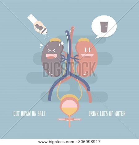 World Kidney Day, Kidney And Bladder Health Care Infographic Diagram, Cut Down On Salt With Hand Hol