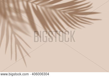 Tropical Palm Leaves On Light Pastel Background. Creative Copyspace. Unobtrusive Background With Sha