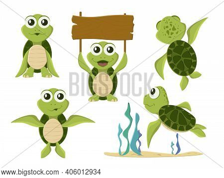 Cartoon Vector Turtle In Various Action Poses. Cartoon Turtle. Cute Tortoise Wild Animal Vector Char